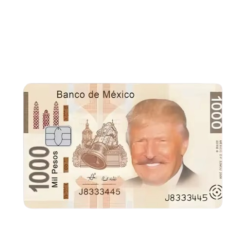 Trump Funny Card Skin